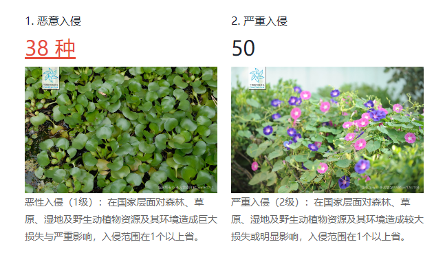 v2 074b9be02459a3632b811aadbed44578 720w