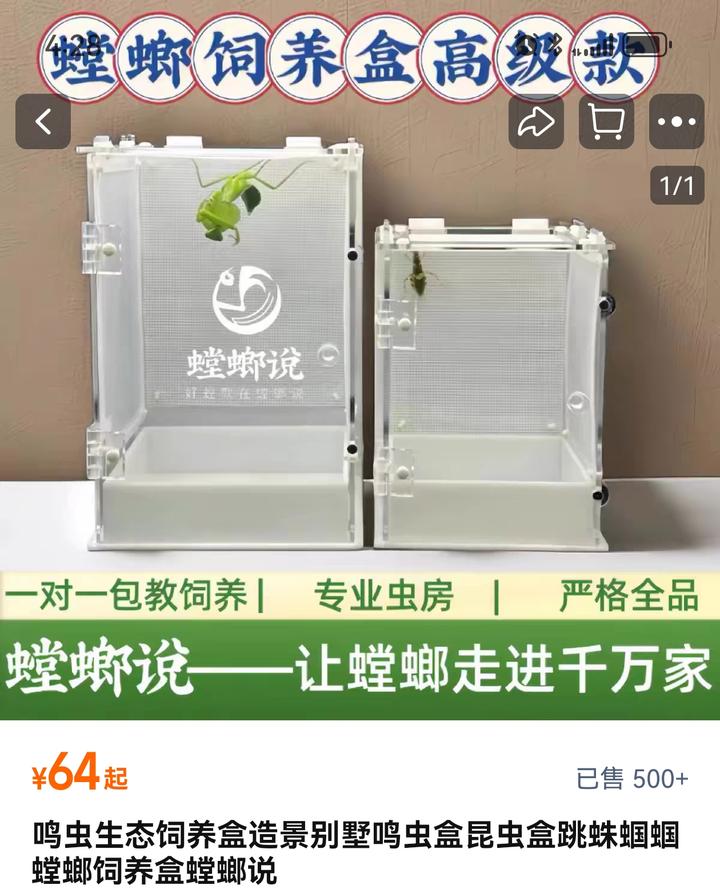 v2 1dd379aef3da210456478e5742e19828 720w
