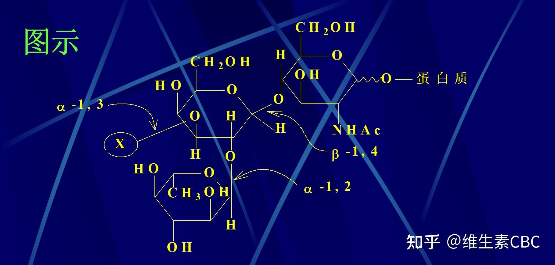 α1β4糖苷键是哪种生物分子连接的化学键