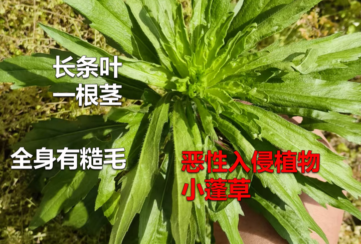 v2 380ca1450b9ceb7ea87b0a693b9e12c7 720w