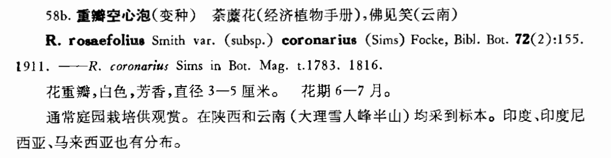 荼蘼荼靡荼縻荼39哪个才是正确的