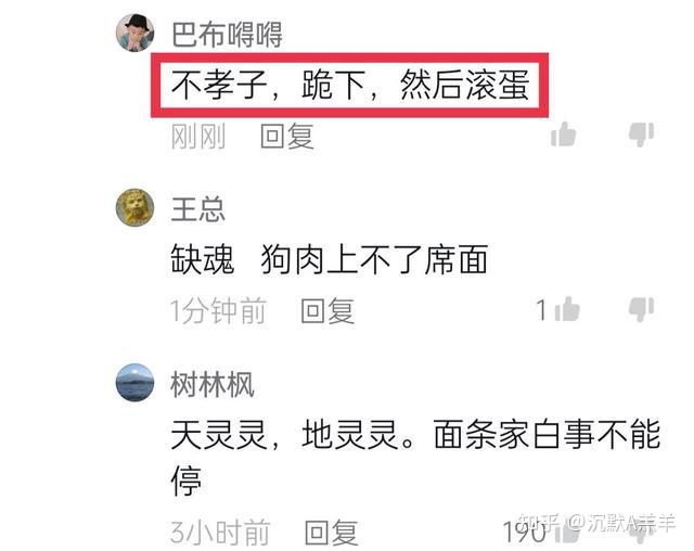 如何看待河南抖音网红张国锁阿辉面条哥等人