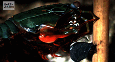 v2 5d2693cf9d8a6312772ece64e55babcd 720w