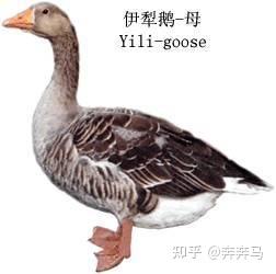 v2 628a5c454d4cdf3e8e38309c116a2940 720w