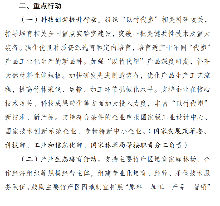 从小城竹林到全球市场:中国“以竹代塑”助推绿色产业发展