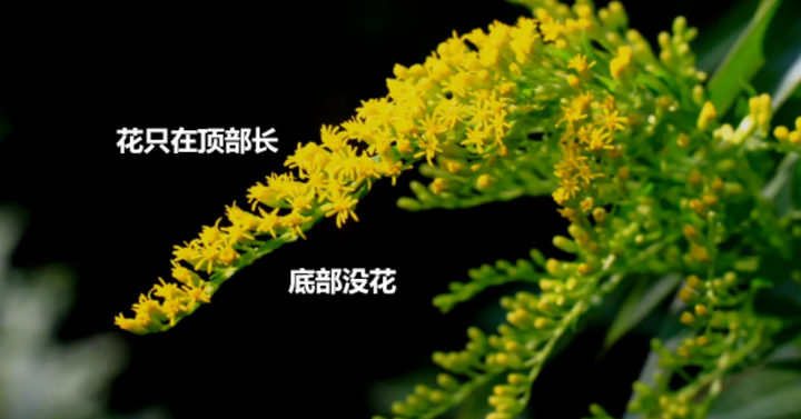 v2 69ed67782af1103c6af3eb661a6786a7 720w