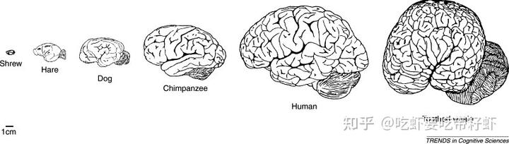 v2 6a83d5a520c557324597060b2890d8b1 720w