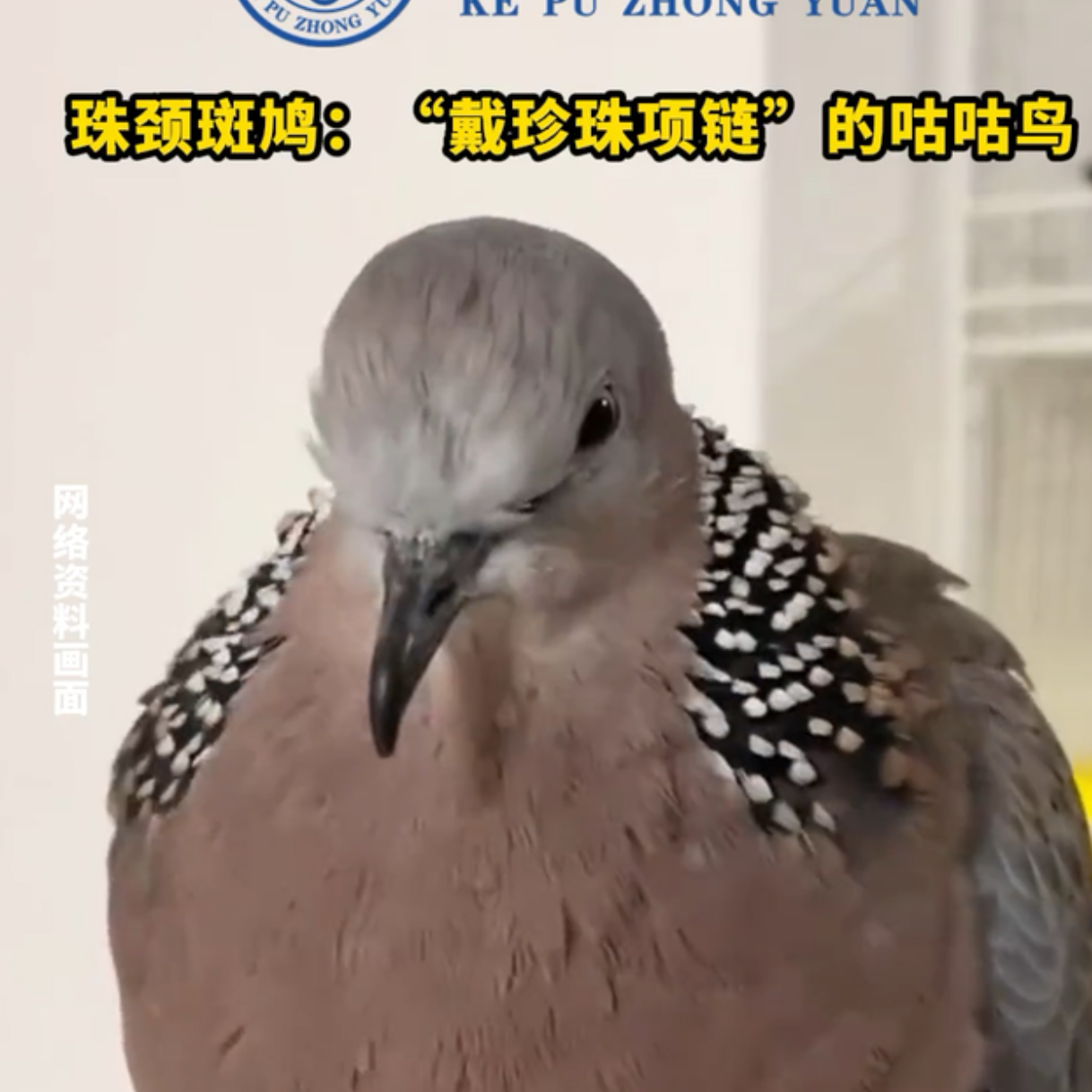 v2 6d145577a05dee5ee4afca92e4eeb75a