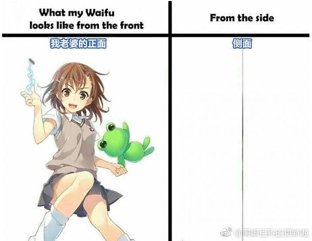 纸片人是什么意思啊,不是身材 知乎