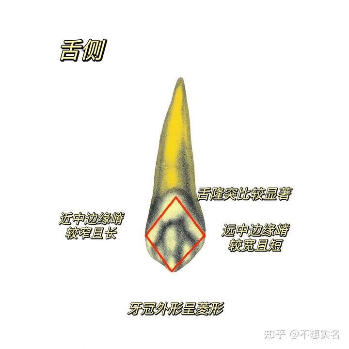 v2 92a0304d406116e8deb525b6e9ebd7d5 720w