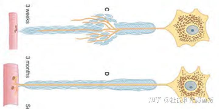 v2 9c58acde7cee26b7d8f204218c8894fa 720w