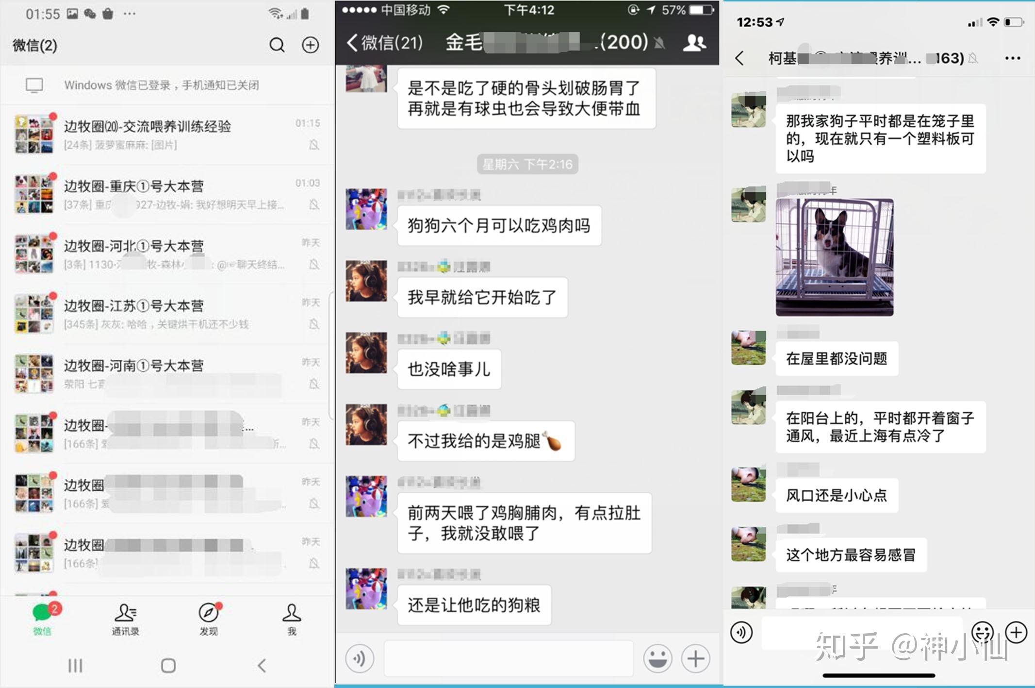 宠物门店要如何玩转社群营销？