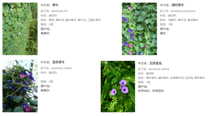 v2 b49e10f3f4f8fab3a961408ef9c71a86 720w