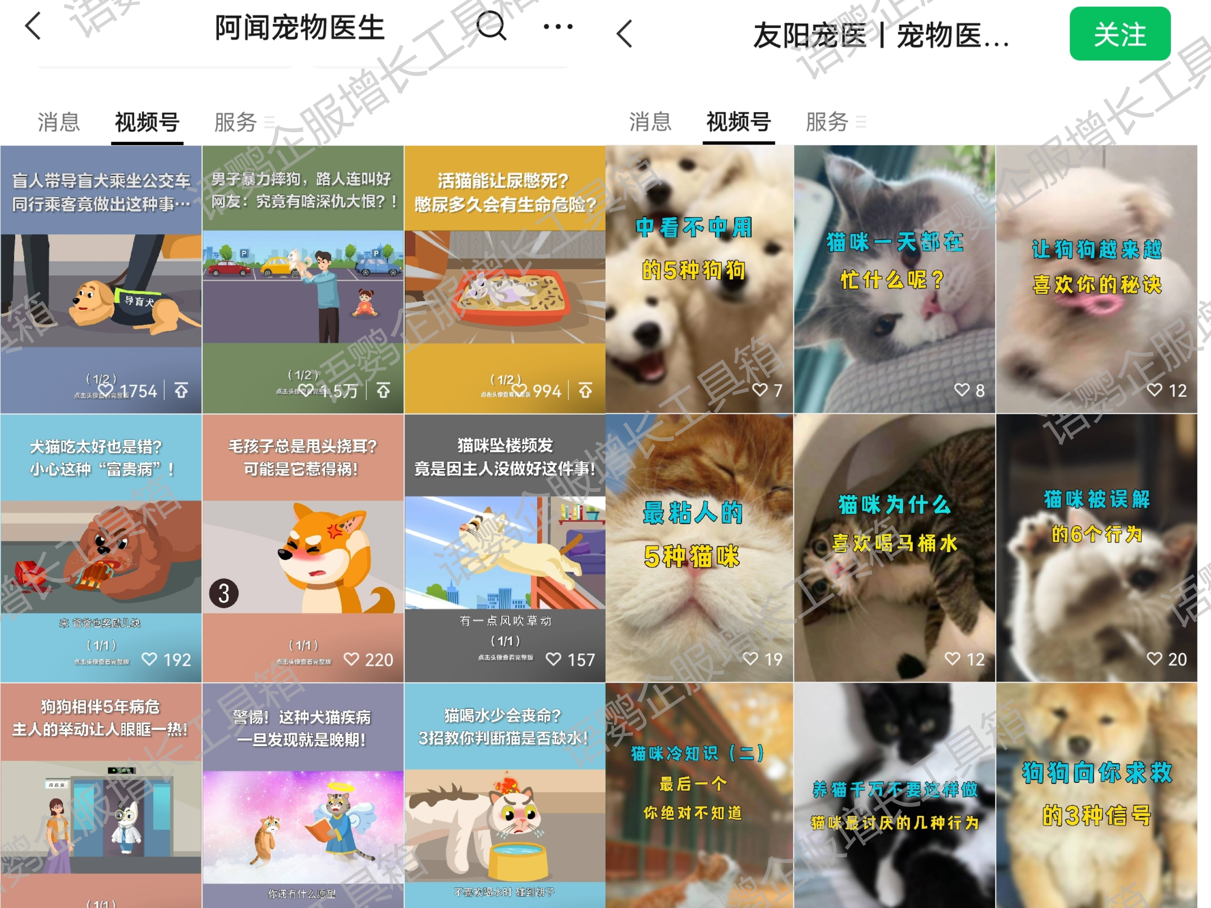 宠物门店要如何玩转社群营销？