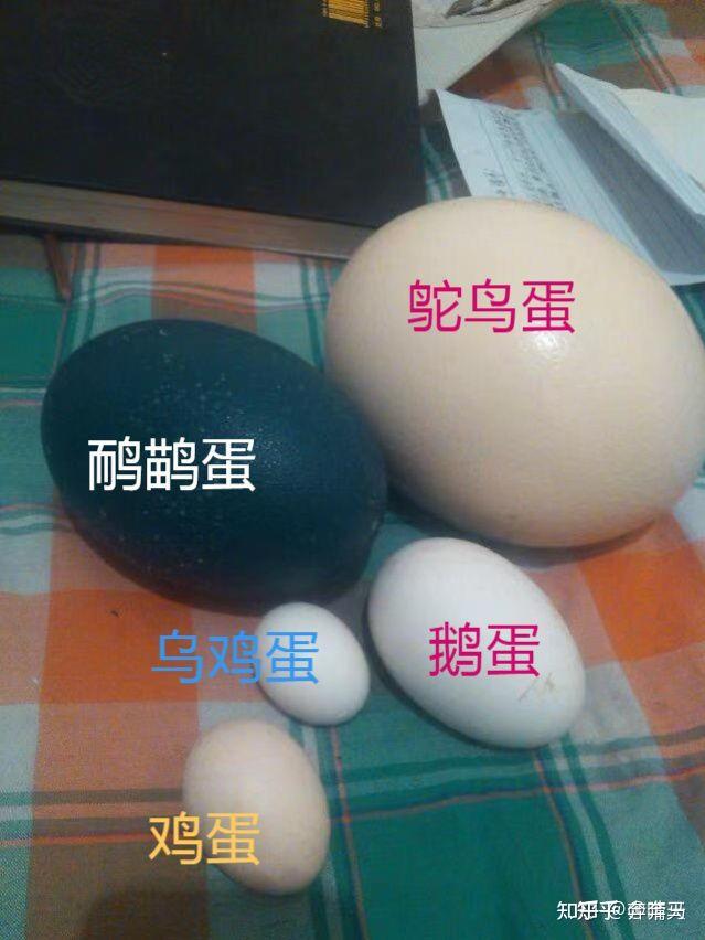v2 c4f7a0515deba19eaee327ed324ceb51 720w