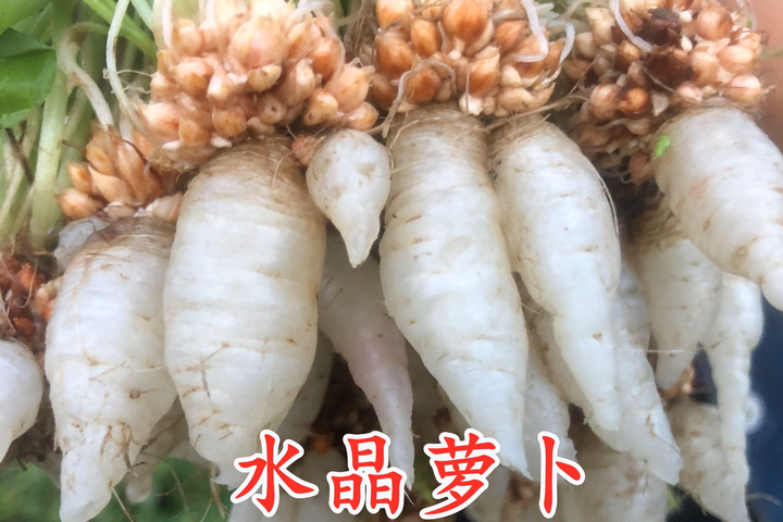 v2 c8ebd5d02467e2ddf7d6fb42e69a55f9 720w