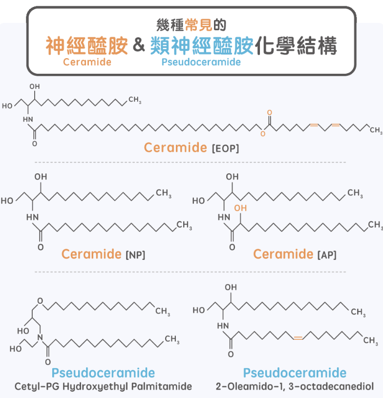 神经酰胺是什么