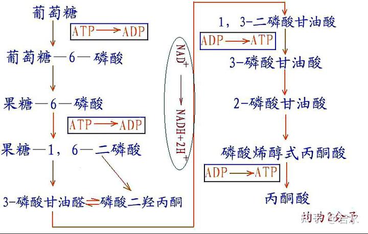 v2 dbe51ec884bba52109dfc82a6d8ada41 720w