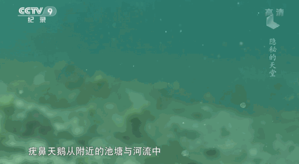 v2 e1ffe6eb6f80fae071c4b3a6d1a3786c 720w