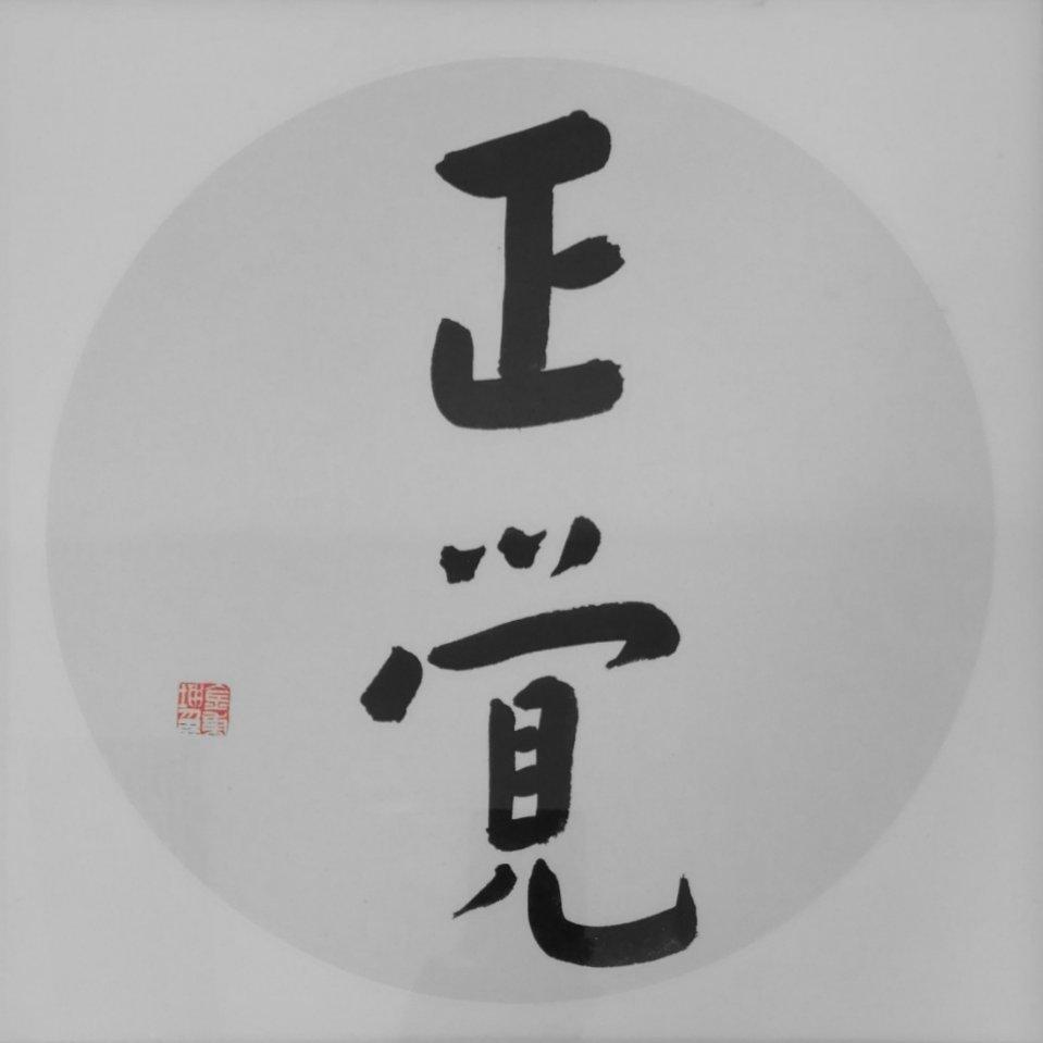 金秉坤书法小品:正觉