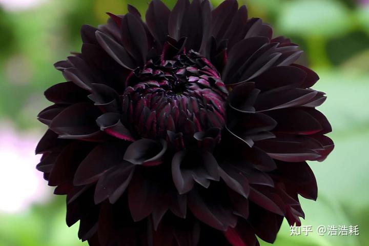 v2 f96014de8c57ad2d2b20c28faf0268ca 720w