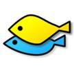 sofish
