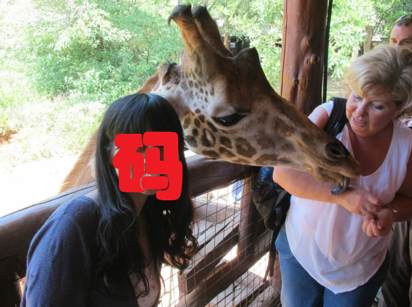 到非洲旅行带 8 岁小朋友同行有哪些需要注意的事项?