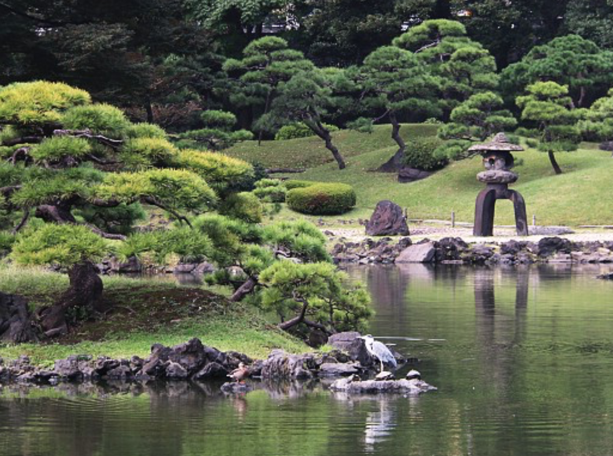 日本文化中「侘寂、幽玄、物哀」三者有何区别? - 知乎