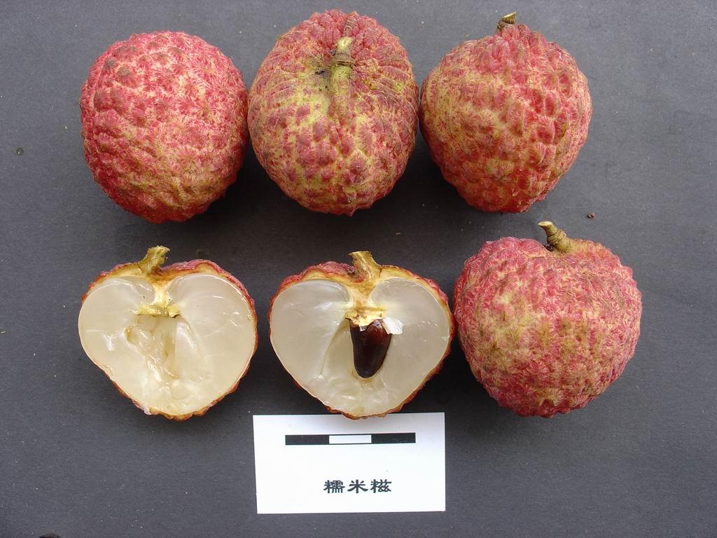 荔枝都有哪些种类,哪种口味最好吃? - 知乎