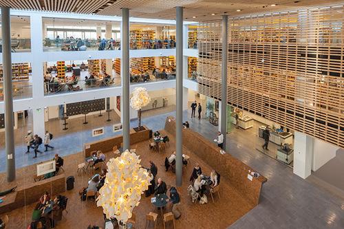 在哥本哈根大学universityofcopenhagen就读是怎样一番体验