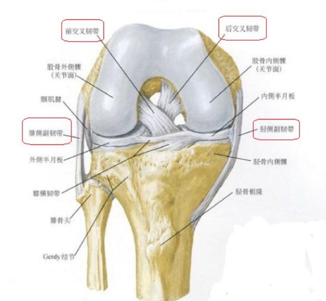膝盖韧带撕裂以后该如何康复