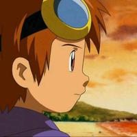 Zhihu profile picture for @orgy