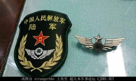 解放军陆军新胸标设计是什么意思