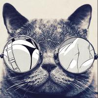 Zhihu profile picture for @wilkins