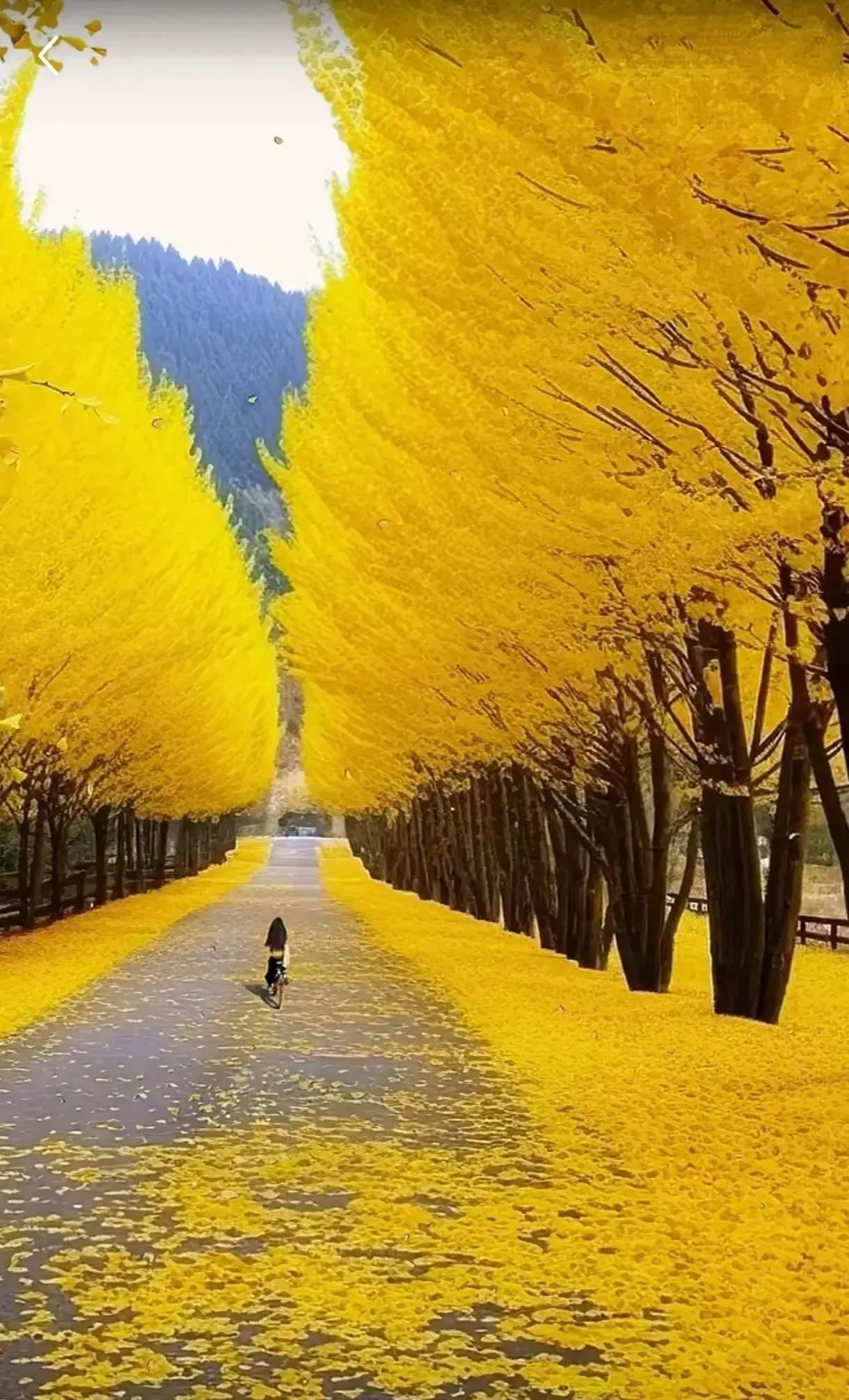 一段很现实的话人与人之间不管是什么没有沟通就没