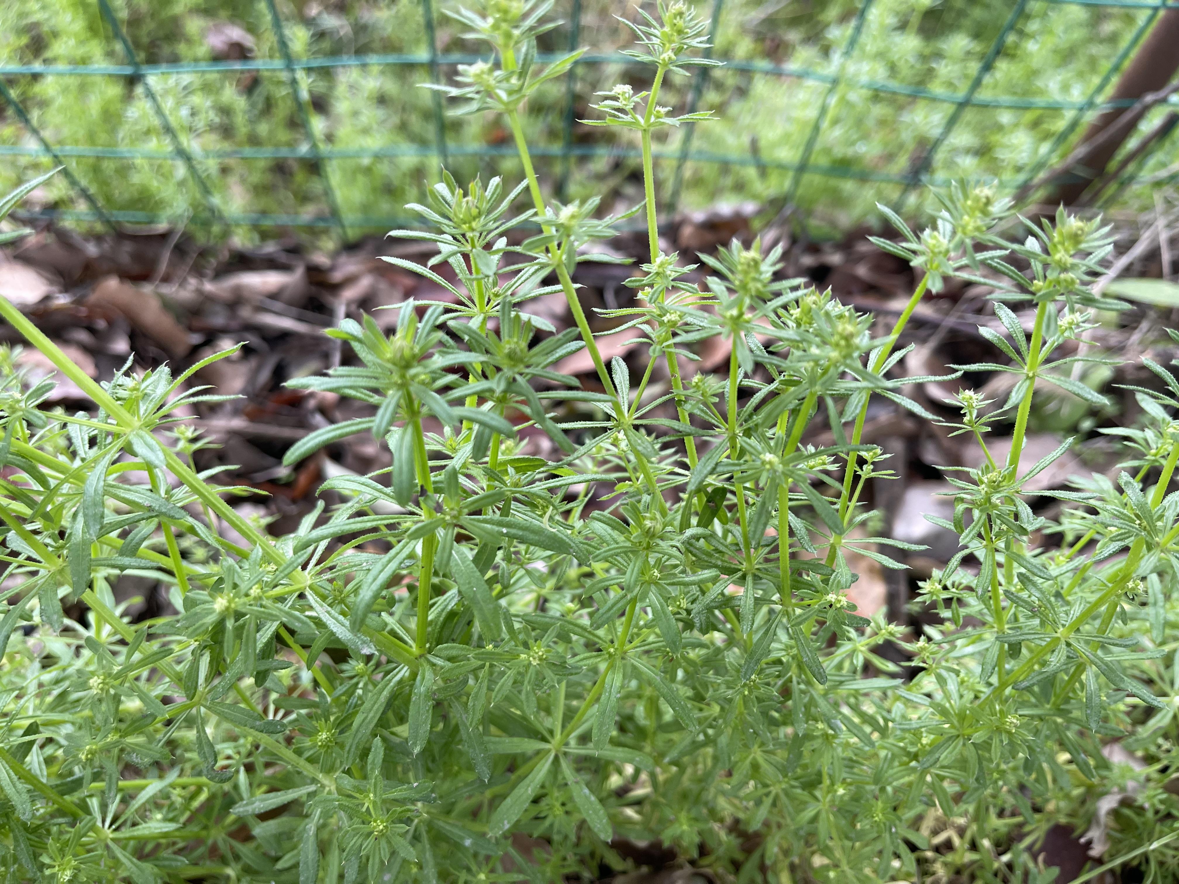 不然哪里来的信念对别人好?要么是纯粹的讨好,不是真实的表