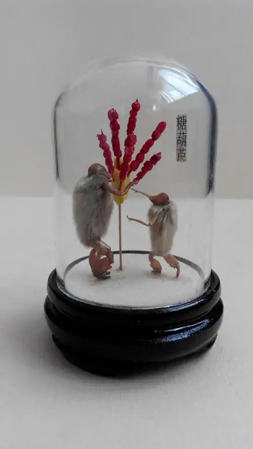 可可 的想法: 老北京毛猴