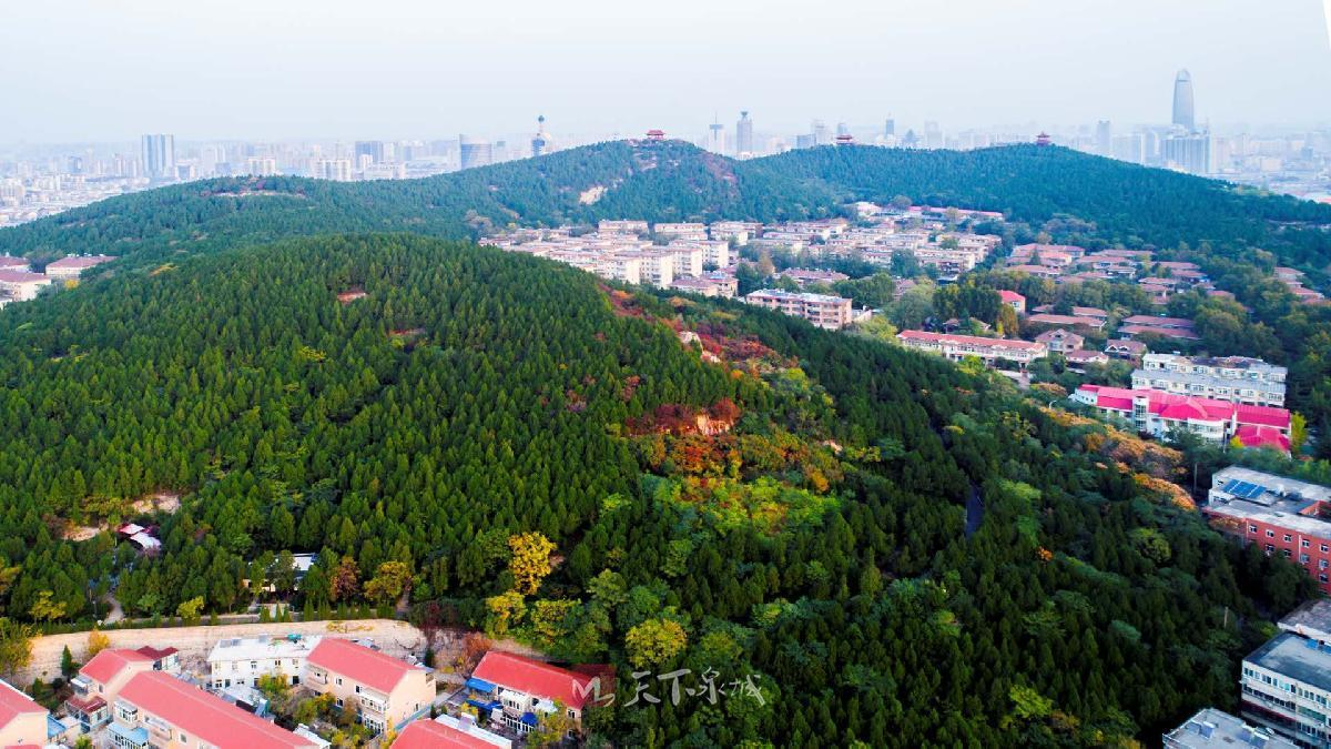 吴子豪 的想法: 济南市中小龟山山体公园