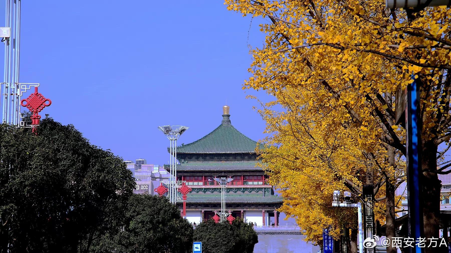 方位 的想法: 古城尽带黄金甲 | 周日的西安南大街,银杏叶子黄了,冬日