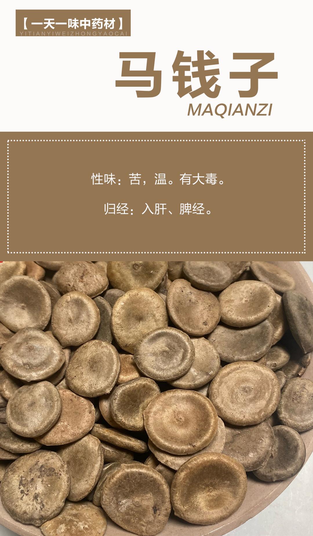 马钱子种子图片