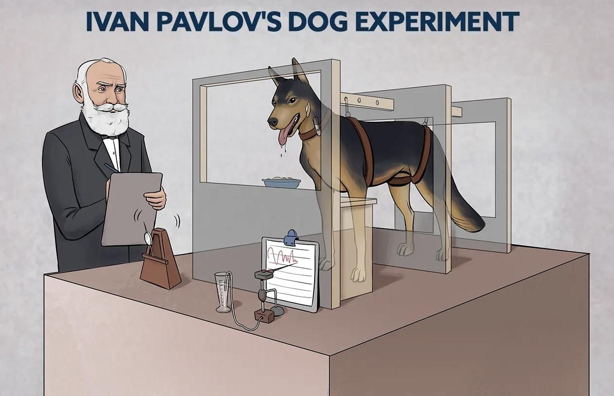 氕氘氚hdt 的想法: 行为心理学"开创之犬":巴甫洛夫的狗