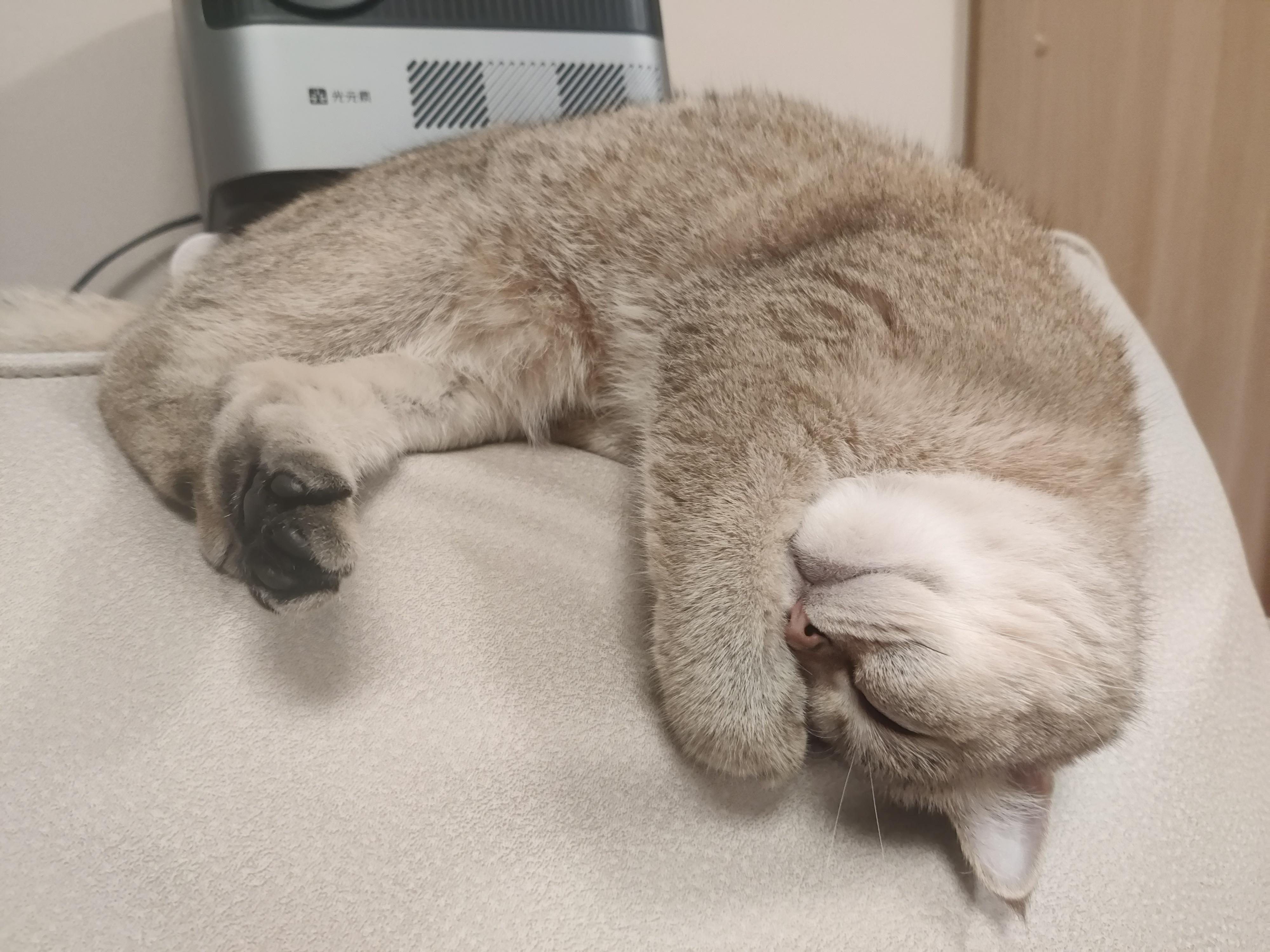 诗意栖息 的想法: 工作日常治愈瞬间 | 体会大师比昂网格图的间隙,一