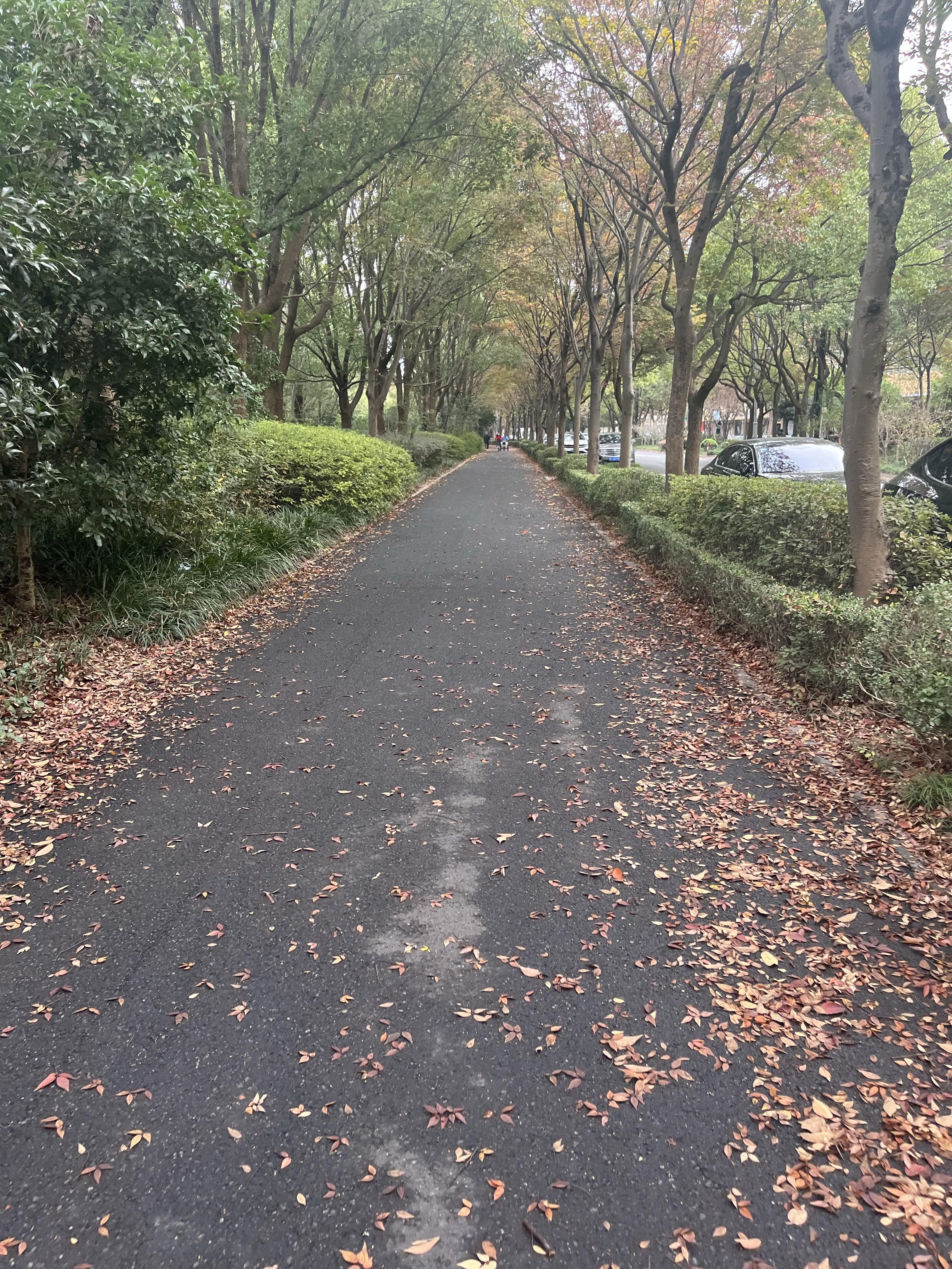 秋风习习成了秋风瑟瑟,一公里开始出汗,五公里过后就要马上回家了.