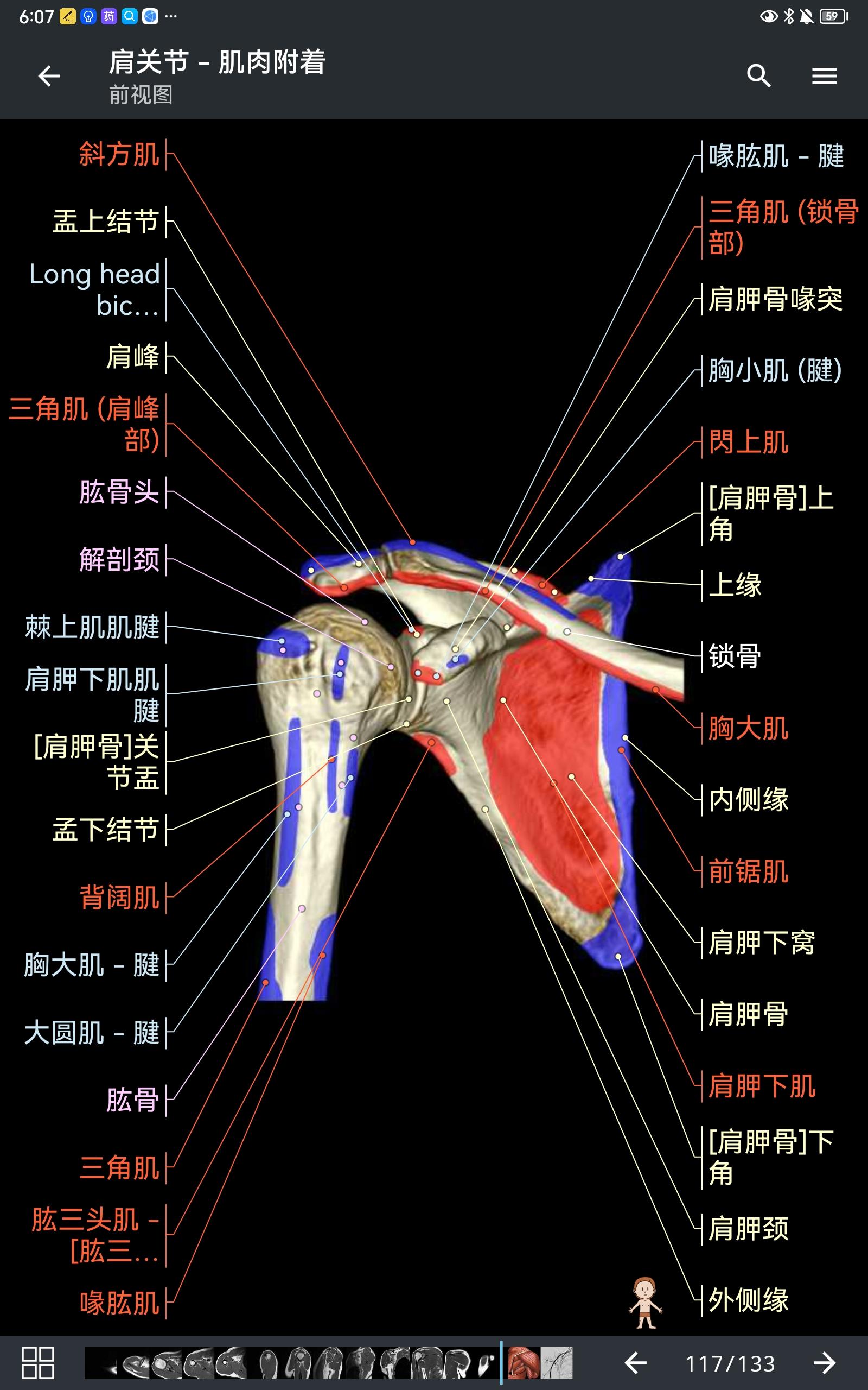 anatomy这一类的软件极大的提高了解剖学和影像学