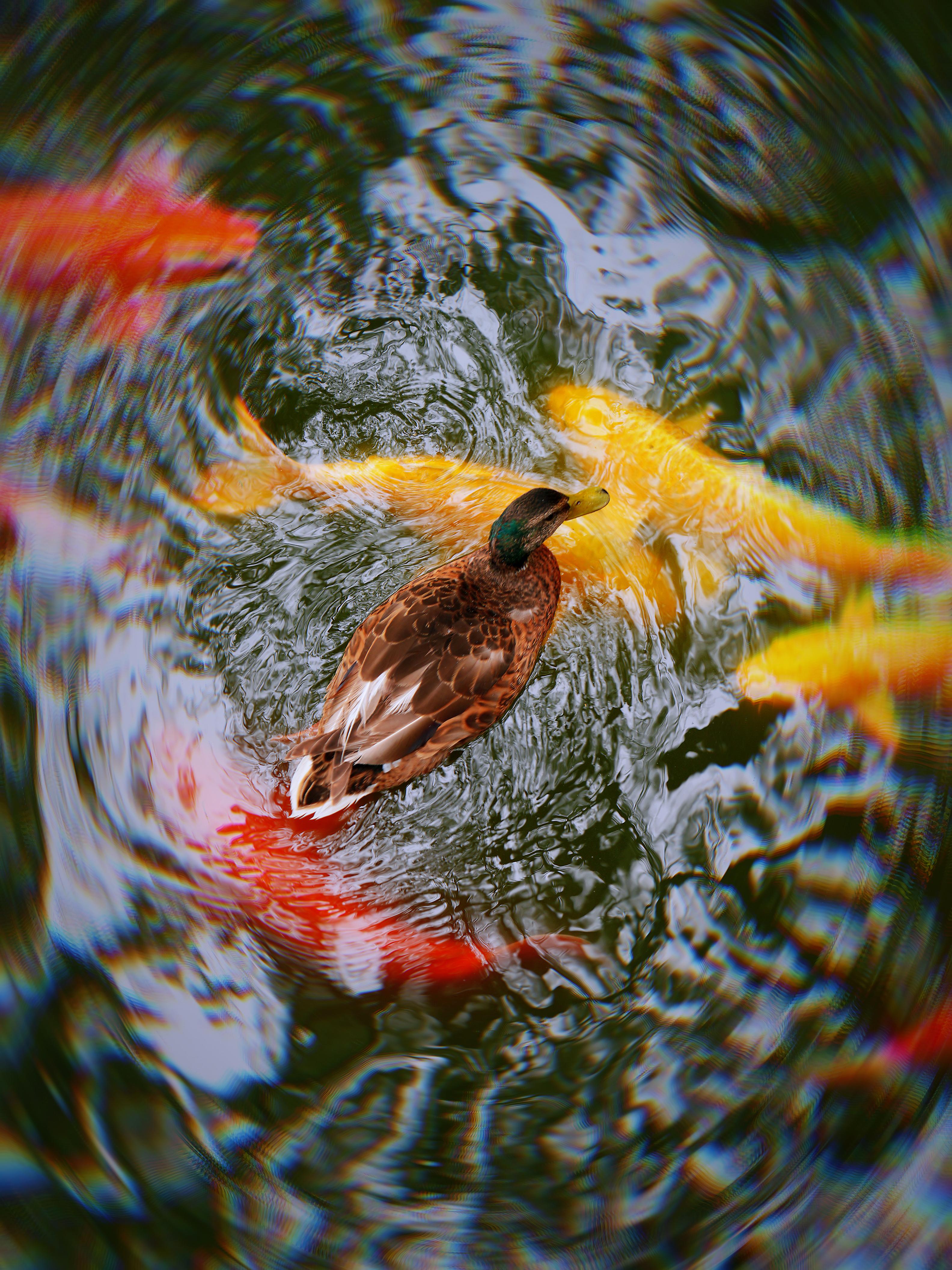 北京攻略都说没看头直到我亲自走进圆明园没有来圆明