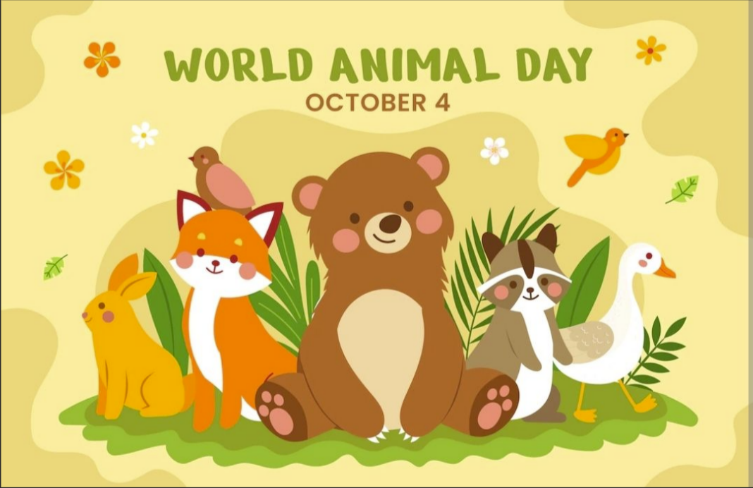 【世界动物日】2022年10月4日是"世界动物日"(world animal day)