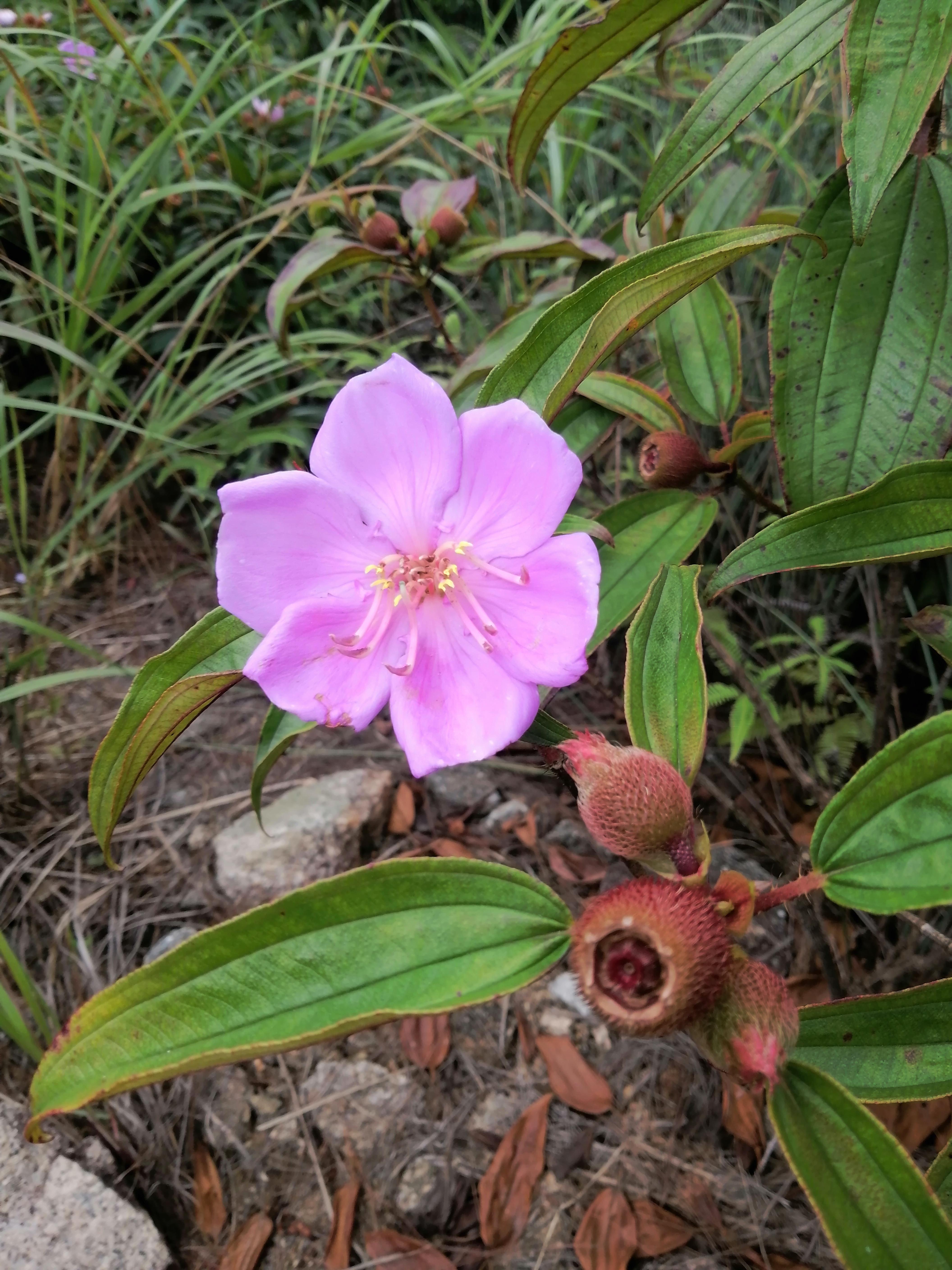 april 的想法: 毛稔