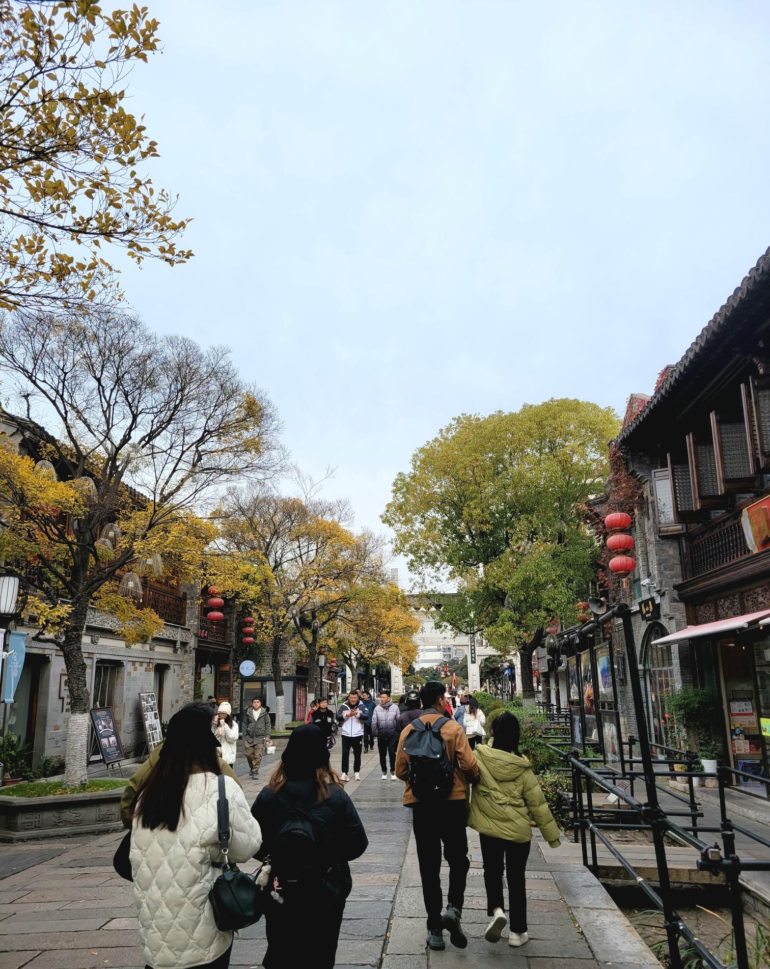 宁城腮帮子 的想法: 南京的初冬来了 | 相对于之前的忽冷忽热,现在的