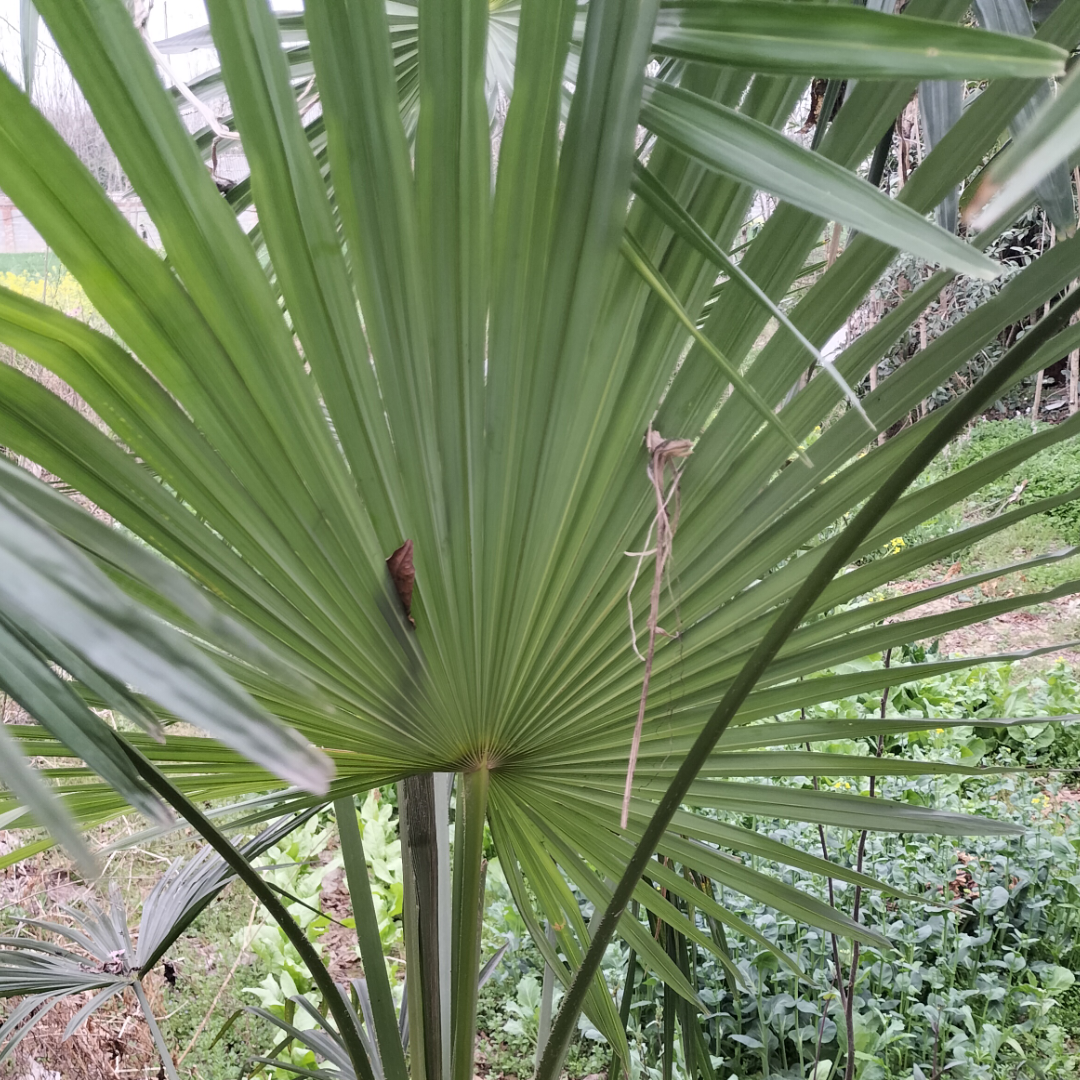 云朵家居生活馆 的想法: 夏季消暑神器