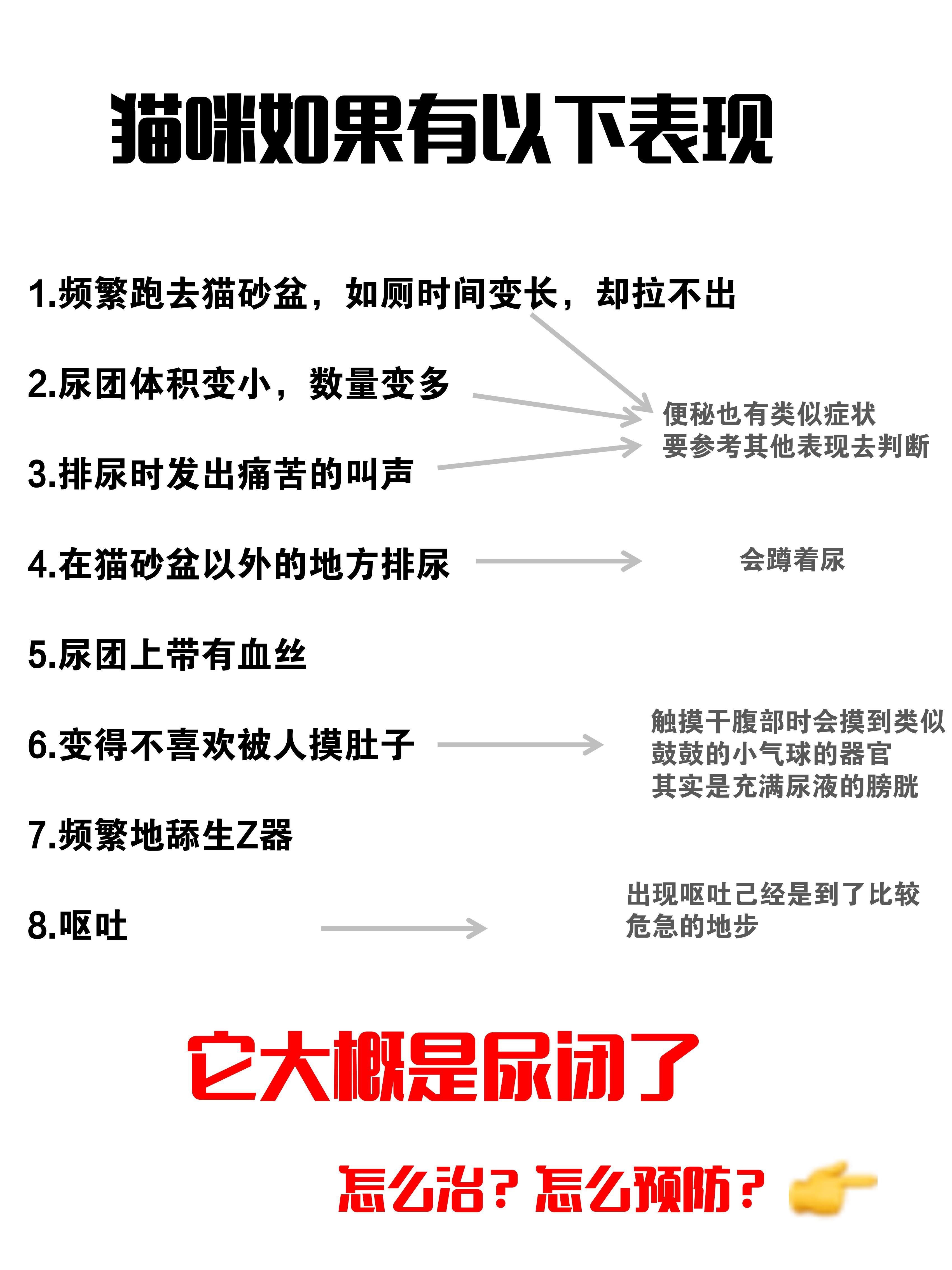 盐酸哌唑嗪用于猫尿闭图片